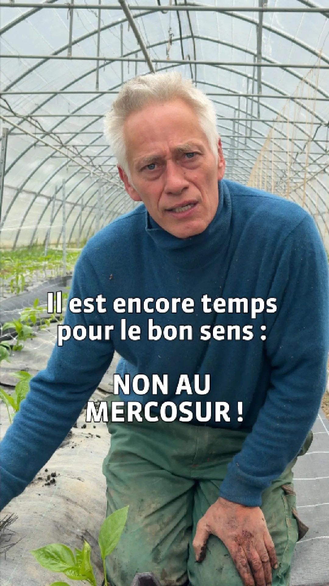 Non au Mercosur, 1:16